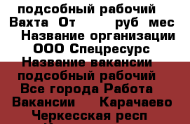 подсобный рабочий . Вахта. От 30 000 руб./мес. › Название организации ­ ООО Спецресурс › Название вакансии ­ подсобный рабочий - Все города Работа » Вакансии   . Карачаево-Черкесская респ.,Карачаевск г.